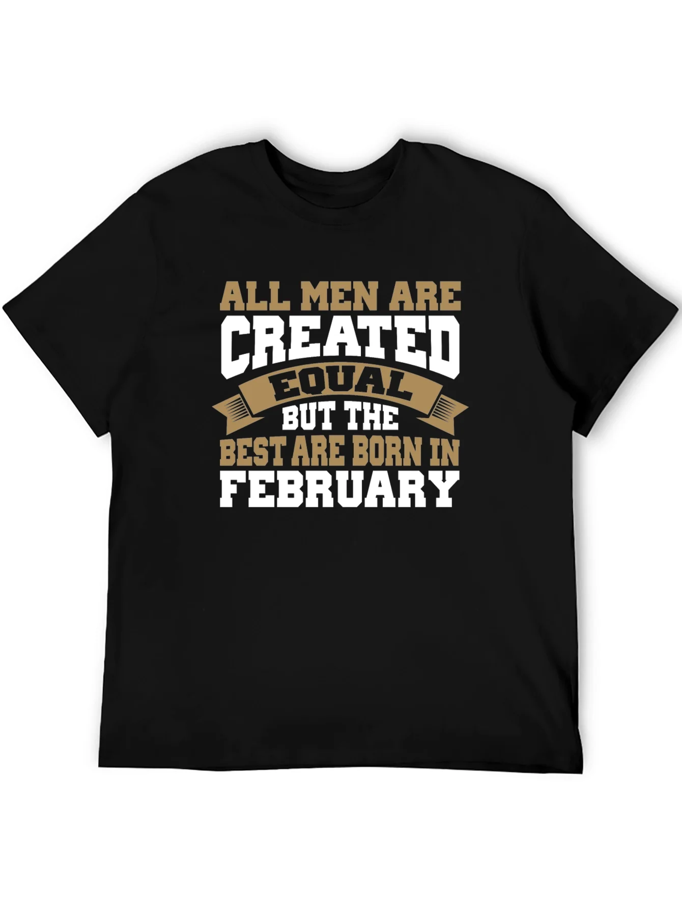 All Men Are Created Equal February Birthday T-Shirt
